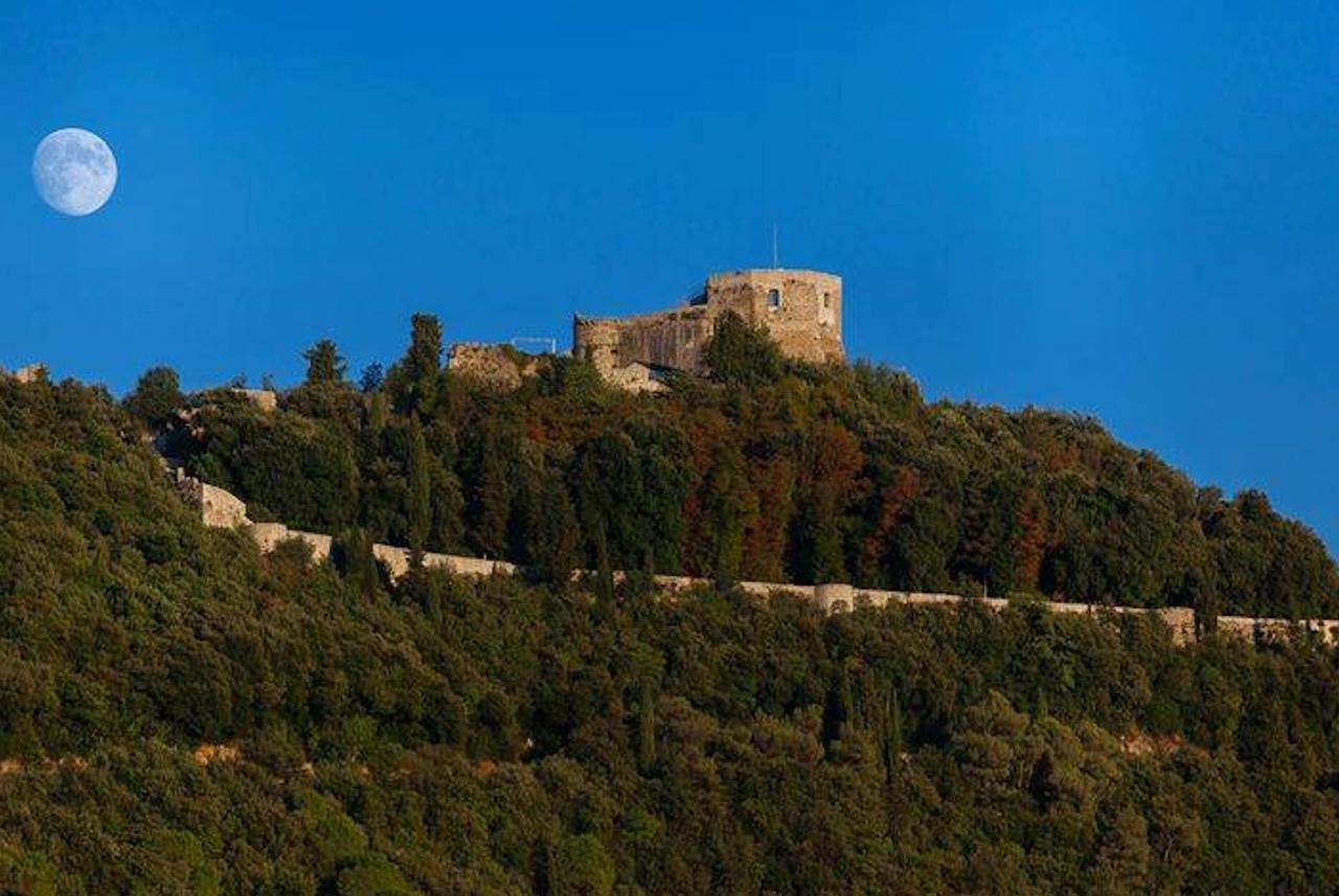 Tuscany House Of Artist 蒙蒂尼奥索 外观 照片
